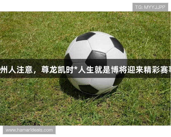 探索尊龙人生就是博网址的安全性与用户体验的关系