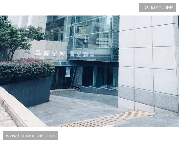 揭示尊龙凯时平台的操作流程与注意事项