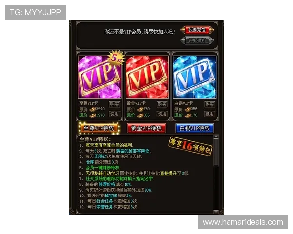 凯时KSVIP直营服务详解如何享受专属VIP特权提升游戏体验