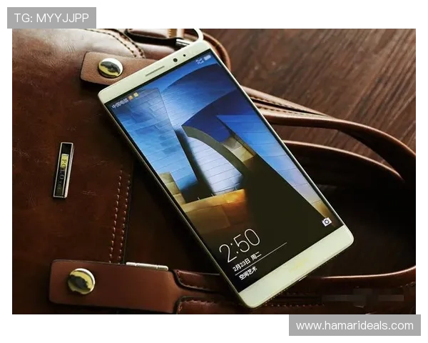 尊龙手机官方地址官方入口安全指南保障用户账号信息安全